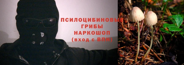 МДПВ Волосово