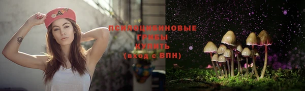каннабис Богданович