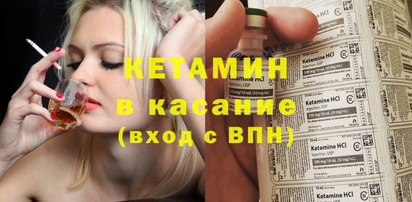 сатива Корсаков