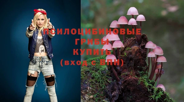 ECSTASY Верея
