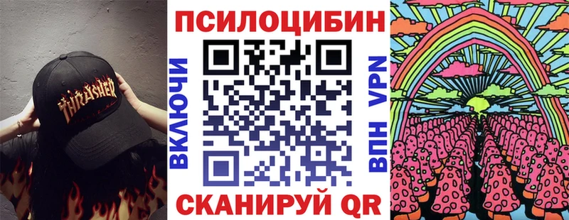 где продают наркотики  Весьегонск  Галлюциногенные грибы MAGIC MUSHROOMS 